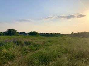 Hike Mueller Park Trail