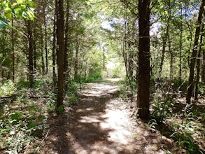 Wolfpen Hike and Bike Blue Trail
