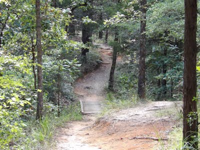 Wolfpen Hike and Bike Blue Trail