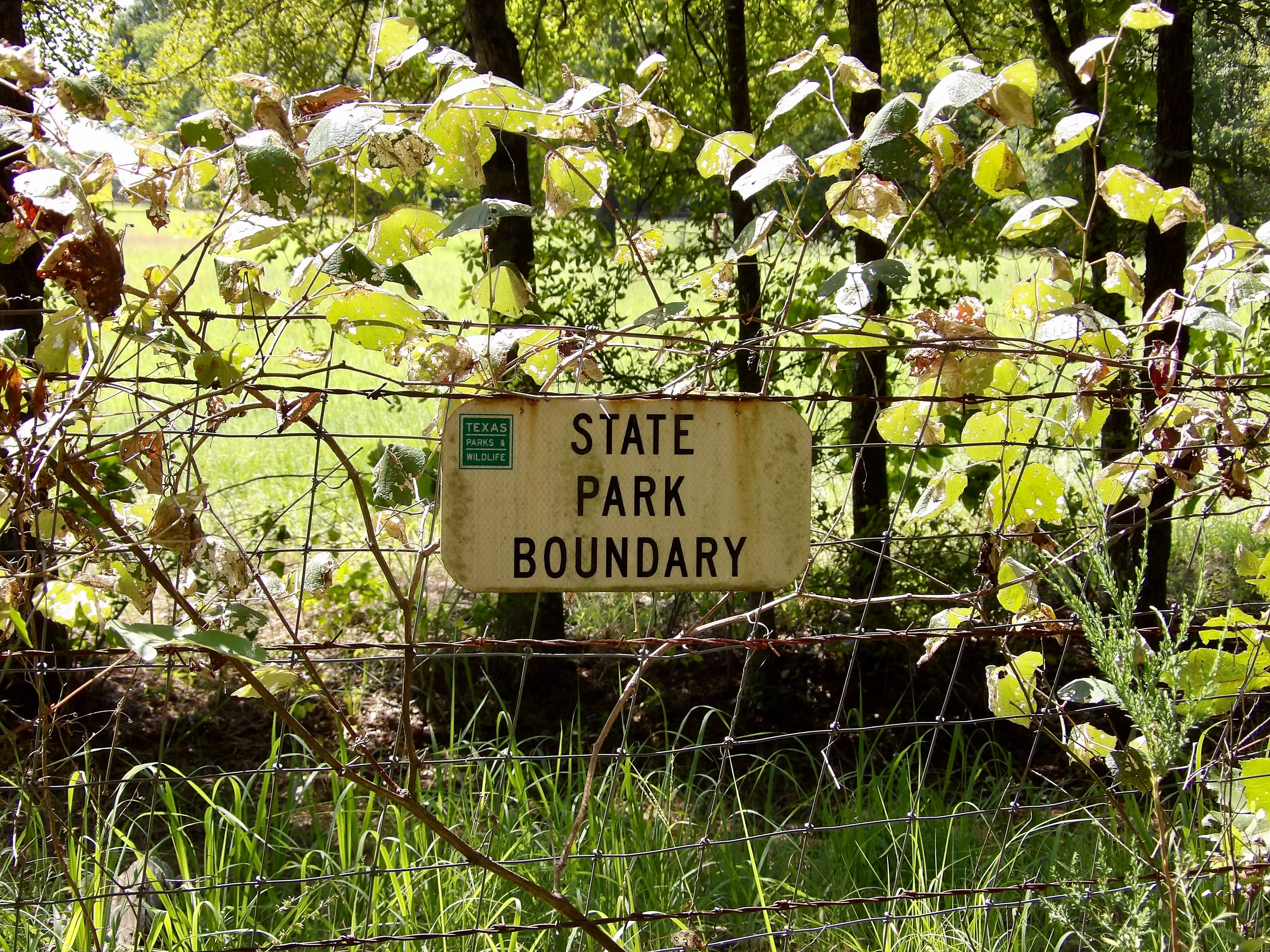 Wolfpen Hike and Bike Blue Trail