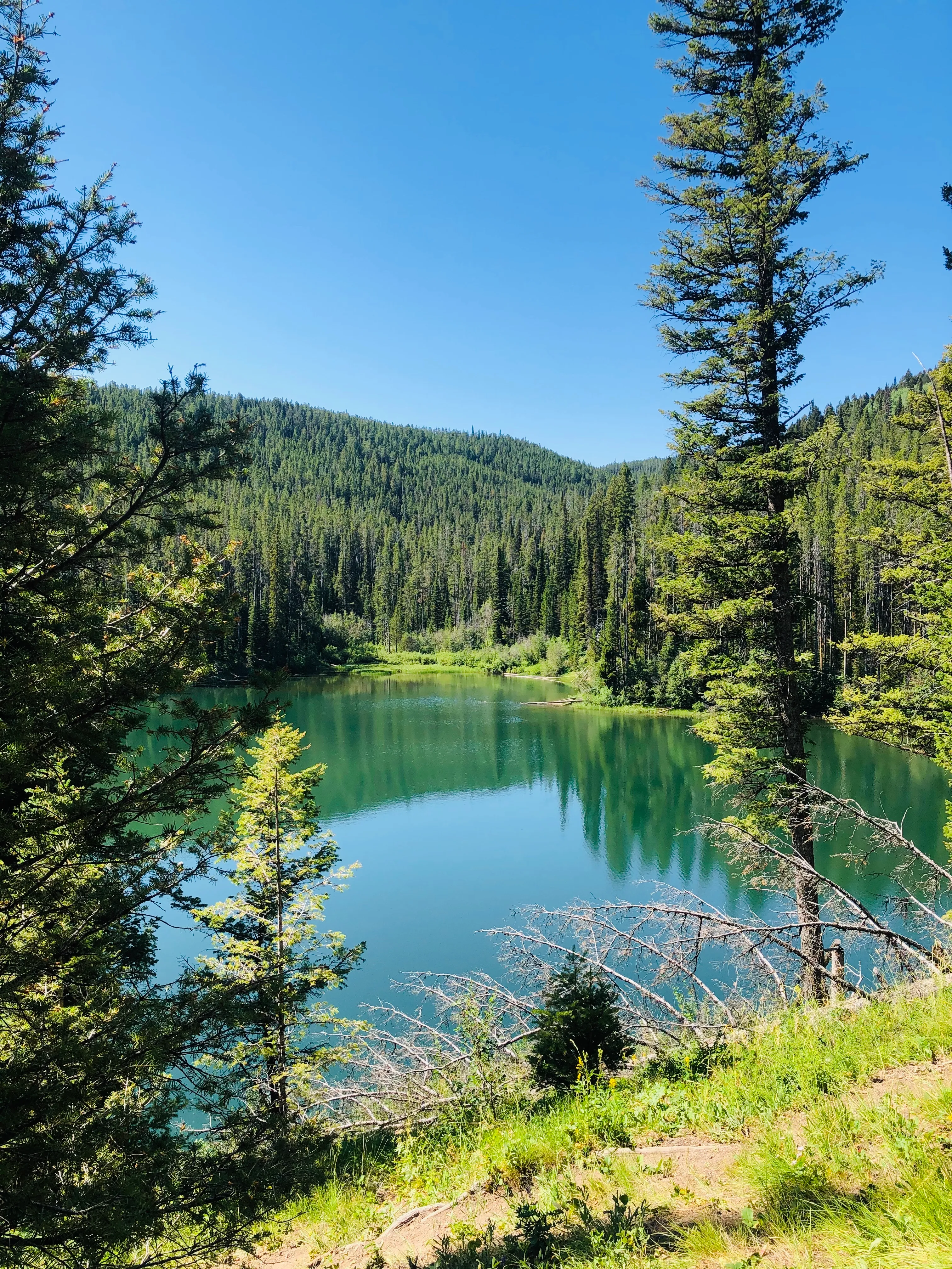 Packsaddle Lake