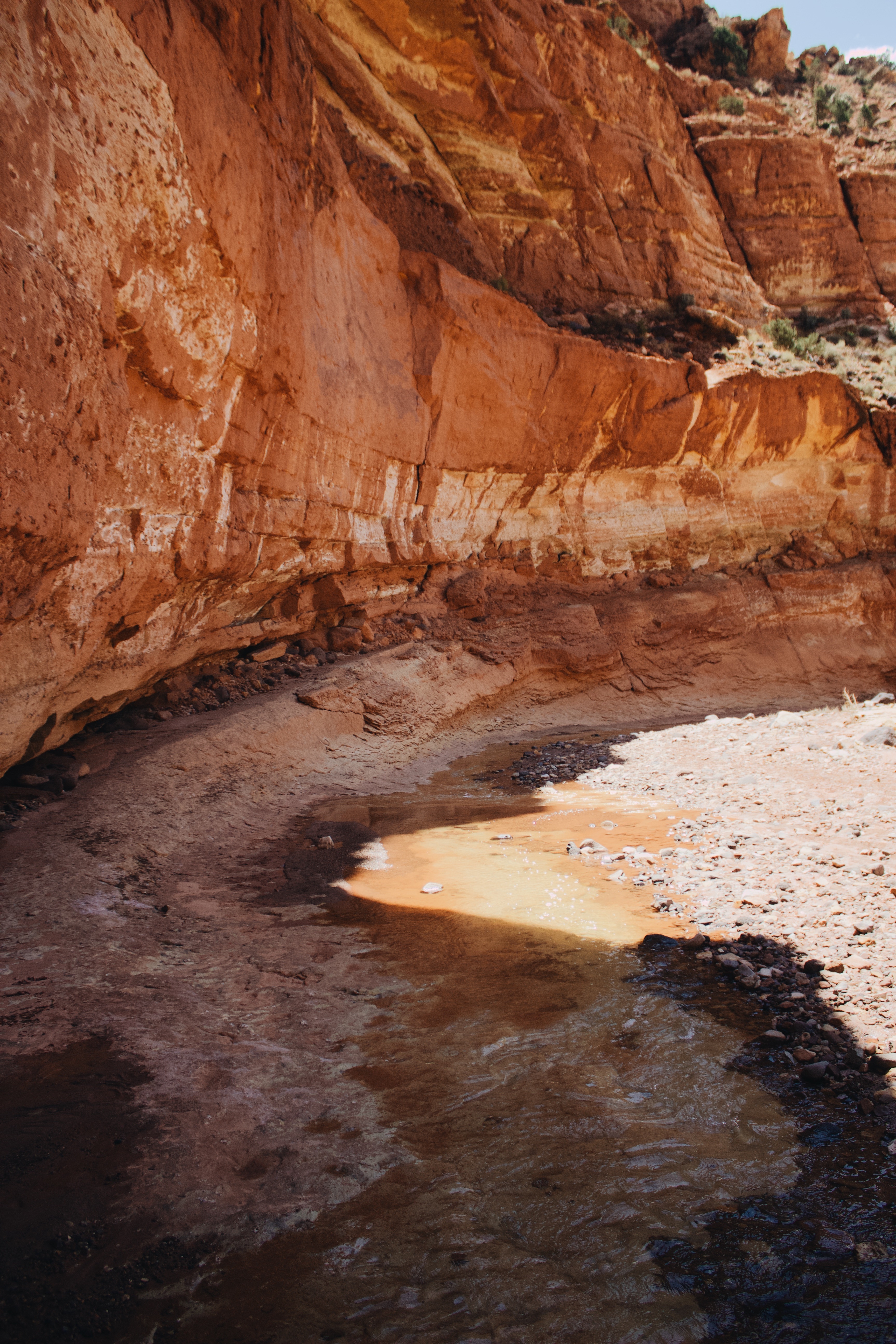 Capitol Reef's Sulphur Creek Route