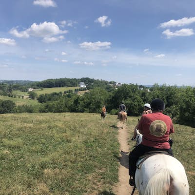Horseback Ride at Rolling Hills Ranch