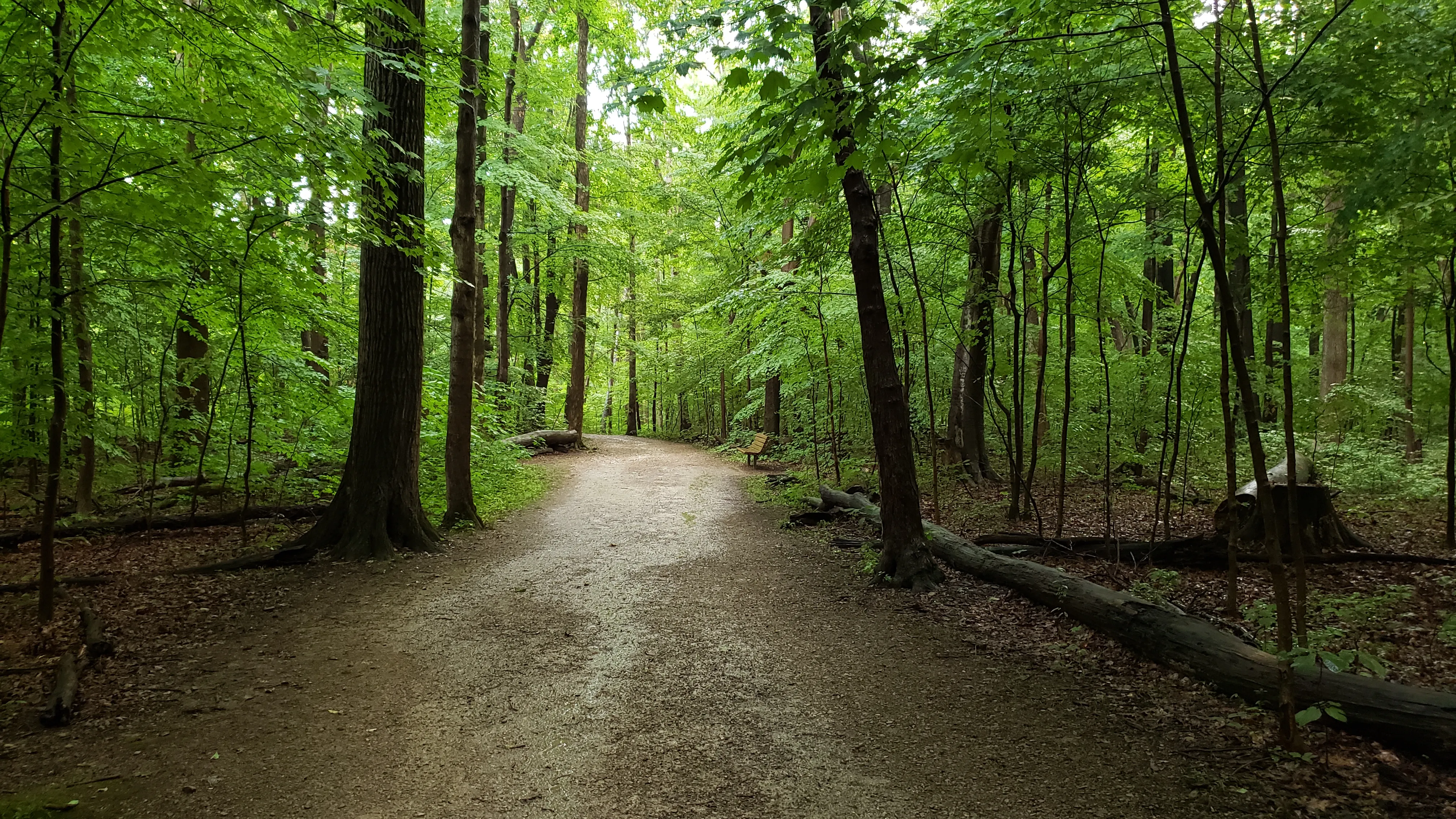 Hike the Overlook-Hickory Ridge-Brookside Trail