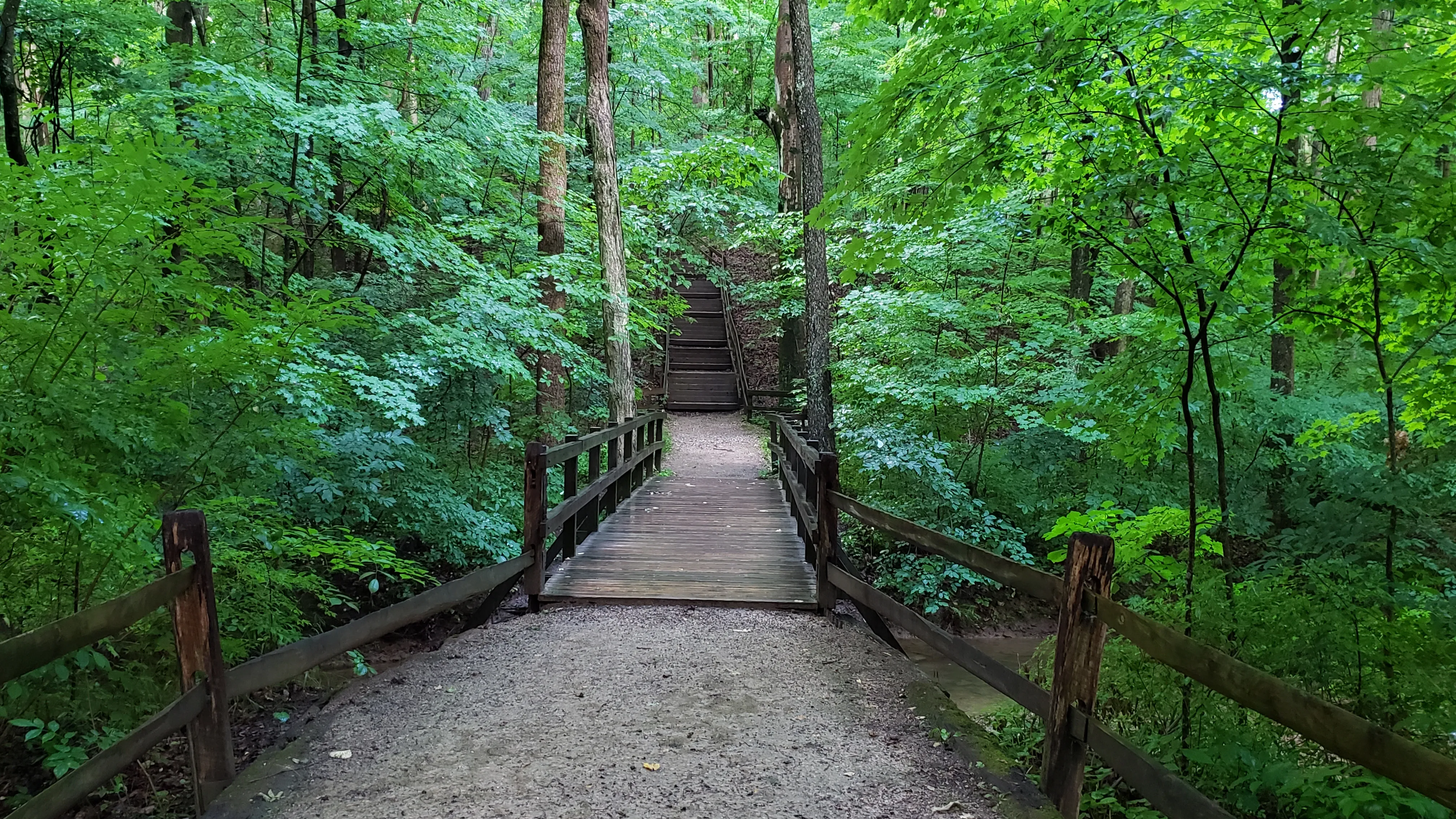 Hike the Overlook-Hickory Ridge-Brookside Trail