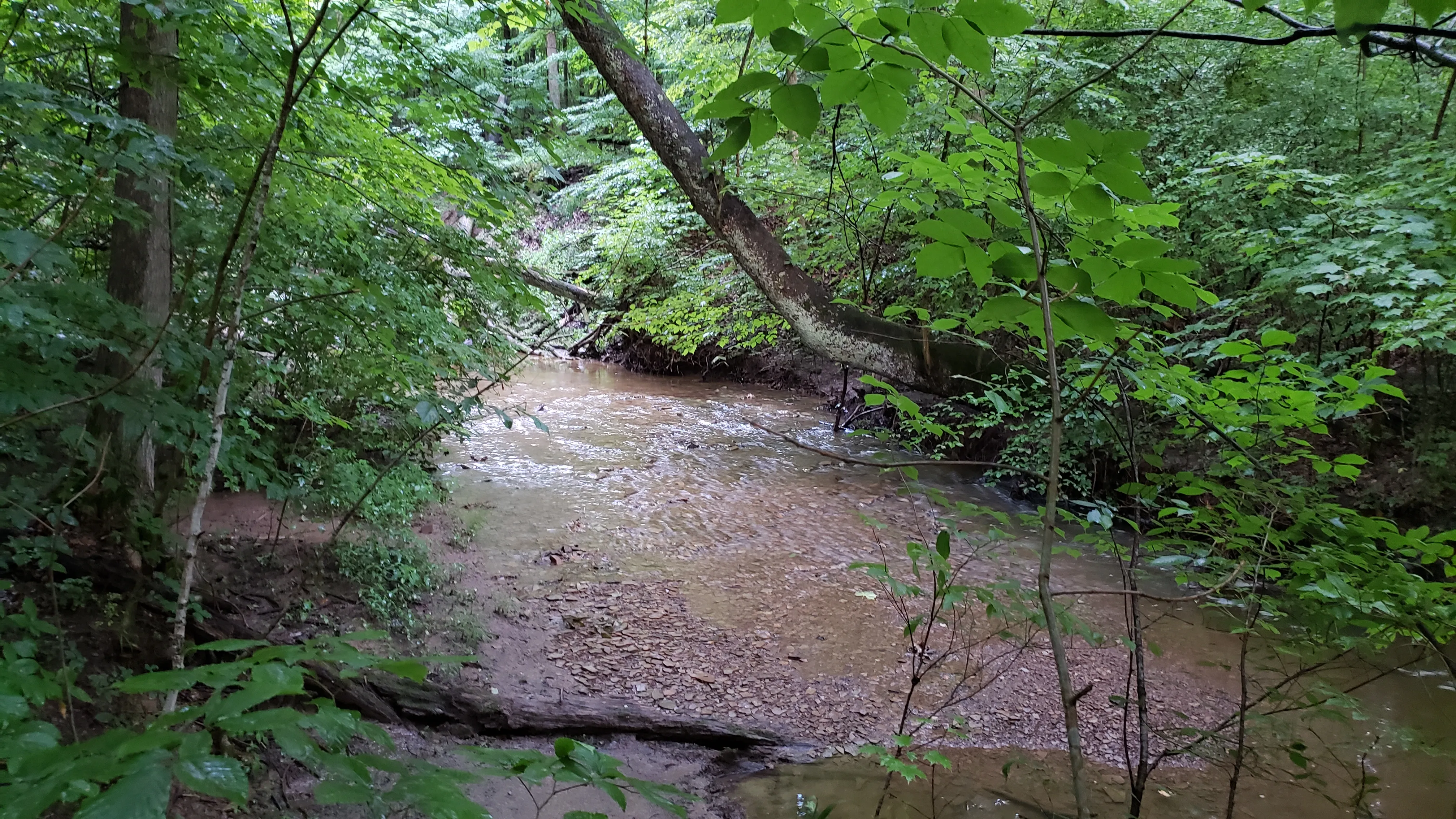 Hike the Overlook-Hickory Ridge-Brookside Trail