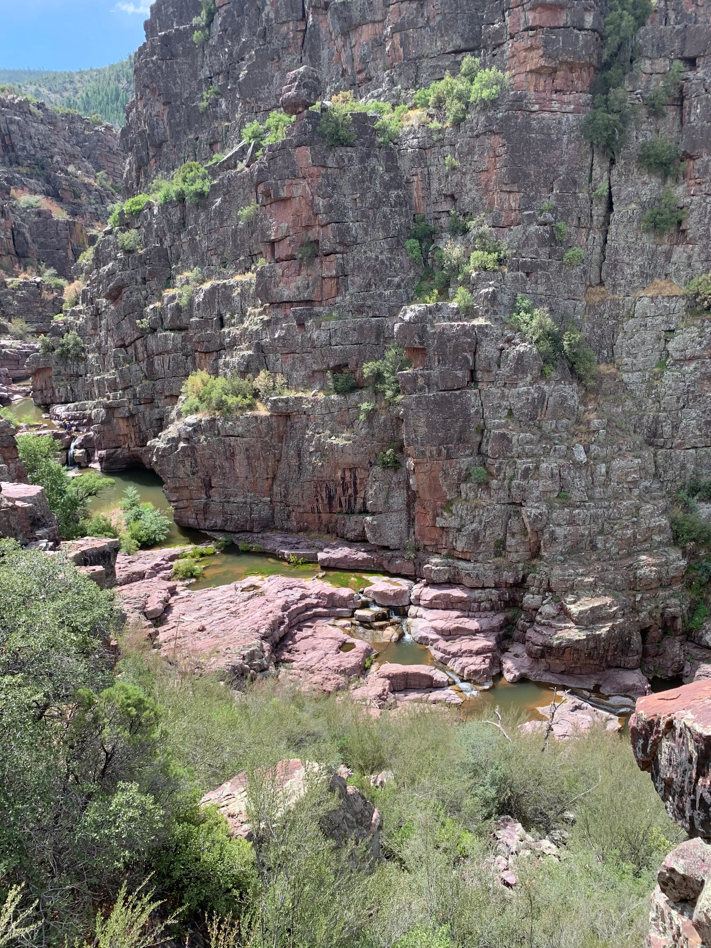 Canyoneering at Christopher Creek/Box Canyon