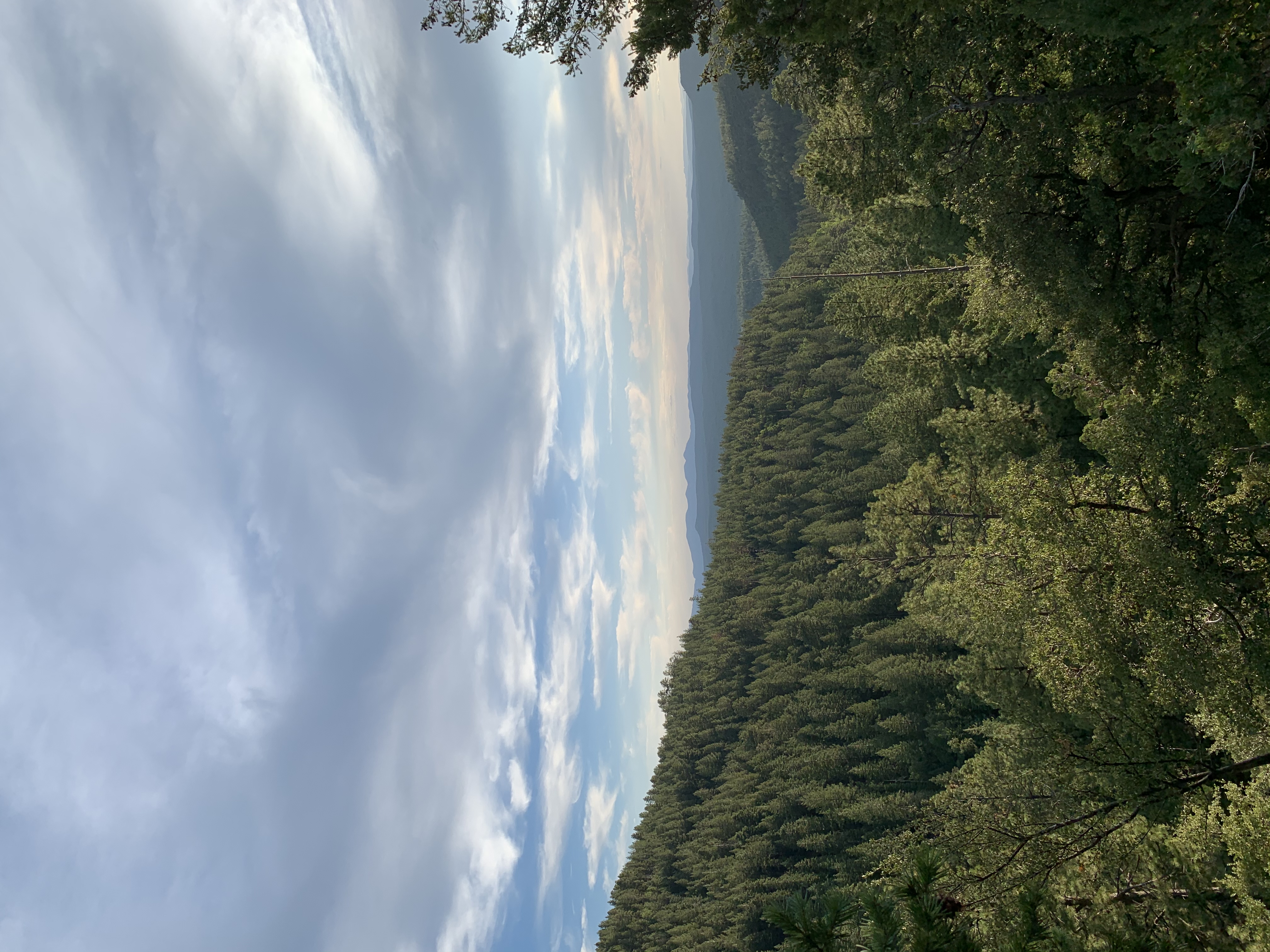 Horton Springs Loop