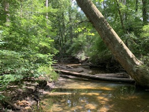 Hike Winona Lake Trail