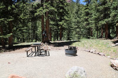 Camp at South Mineral Campground