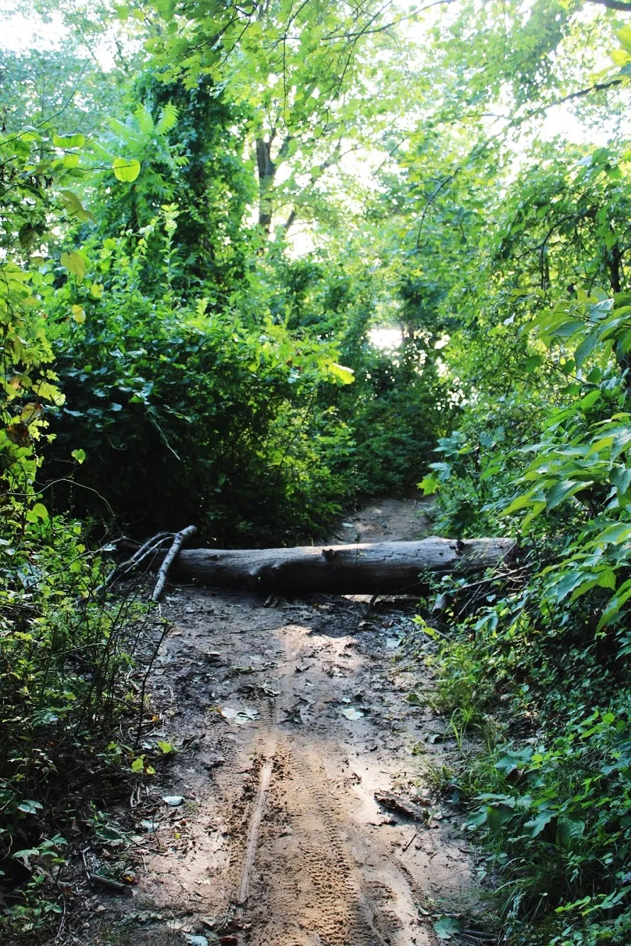 Mountain Bike at Core Creek Park