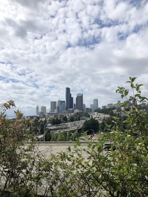 Take in the View of Downtown Seattle from Dr. Jose Rizal Park