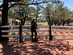 Stroll Pine Creek's Lavender Farm