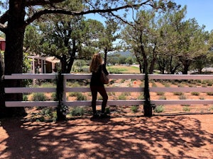 Stroll Pine Creek's Lavender Farm