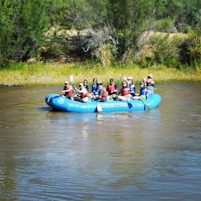 Raft the Salt River in Arizona
