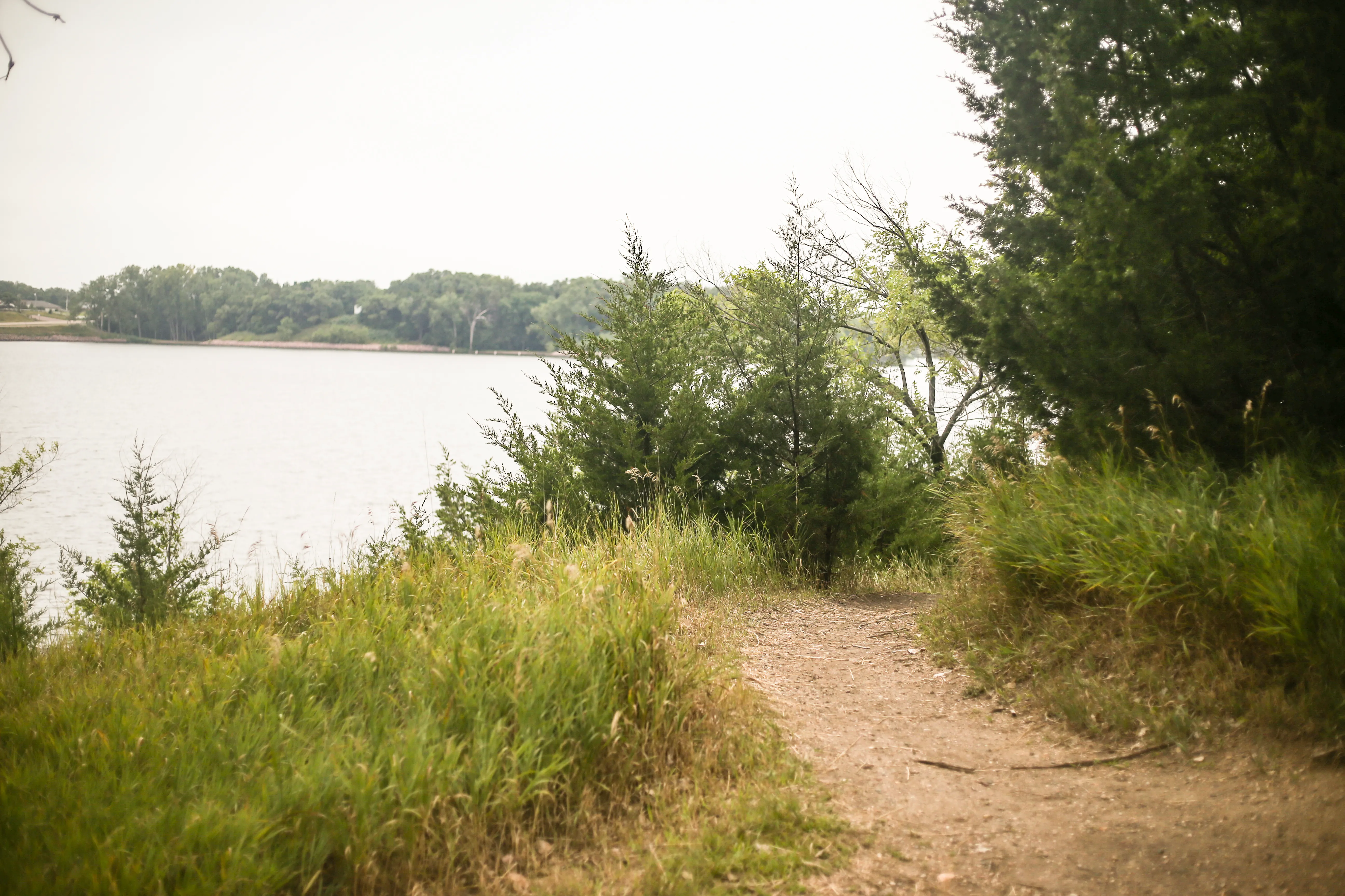 Mountain Bike Kiwanis Trail on Lake Mitchell 