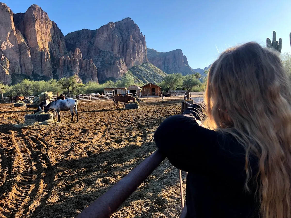 Horseback Ride in the Sonoran Desert 