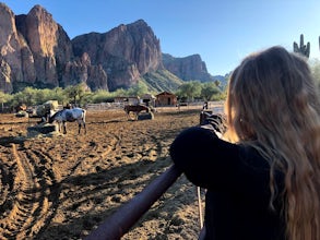 Horseback Ride in the Sonoran Desert 