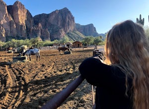 Horseback Ride in the Sonoran Desert 