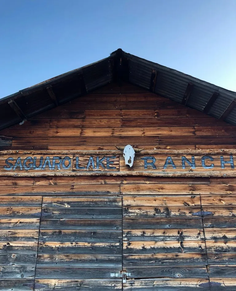 Horseback Ride in the Sonoran Desert 