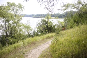 Mountain Bike Kiwanis Trail on Lake Mitchell 