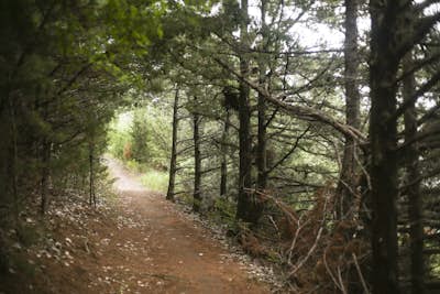 Mountain Bike Kiwanis Trail on Lake Mitchell 