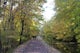 Run or Bike the Delaware Canal Towpath: Yardley to New Hope