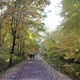 Run or Bike the Delaware Canal Towpath: Yardley to New Hope