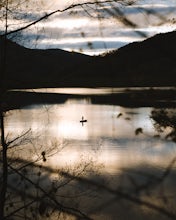 Fly Fish at Switzer Lake