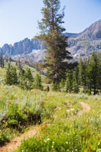 Hike Round Top Summit and Winnemucca Lake Loop