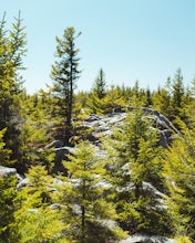 Bear Rocks and Beaver Dam Loop