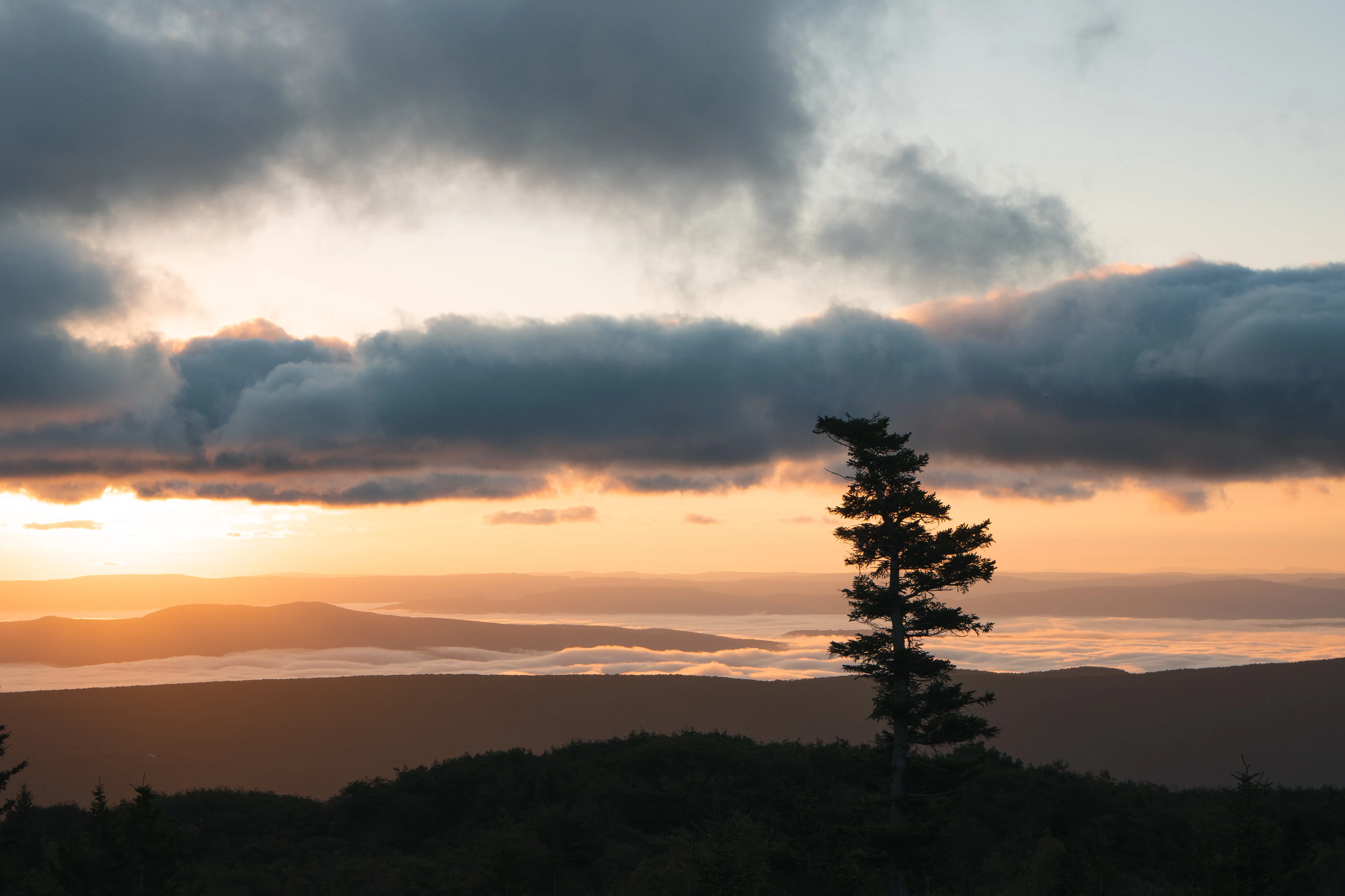 Photograph Bear Rocks Preserve