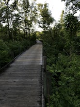 Run or Bike the Dyke Marsh Wildlife Preserve