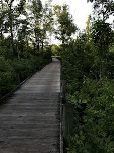 Run or Bike the Dyke Marsh Wildlife Preserve