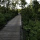 Run or Bike the Dyke Marsh Wildlife Preserve