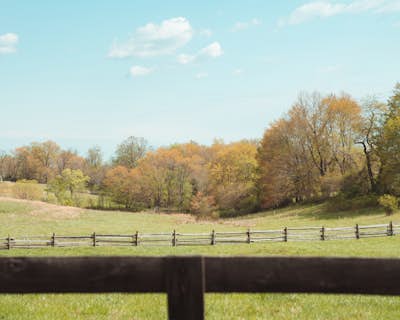Photograph Virginia's Horse and Hunt Country