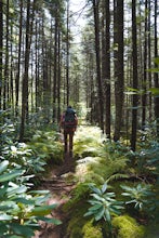 Backpack the Cranberry Wilderness North South Loop Trail