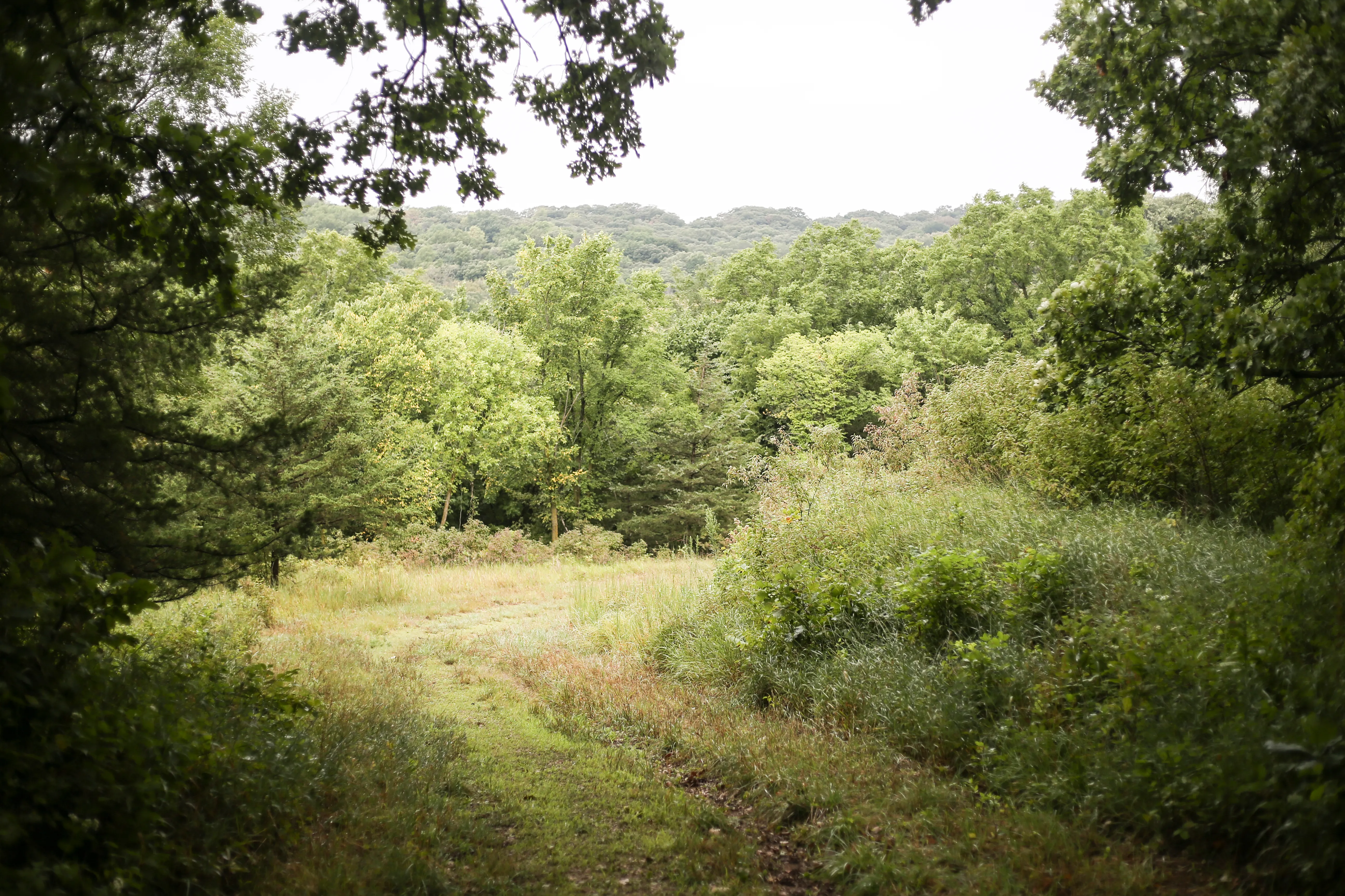 Hike Five Ridge Prairie 