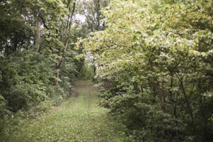 Hike Five Ridge Prairie 