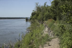 Hike the Clay County Park Nature Trail 