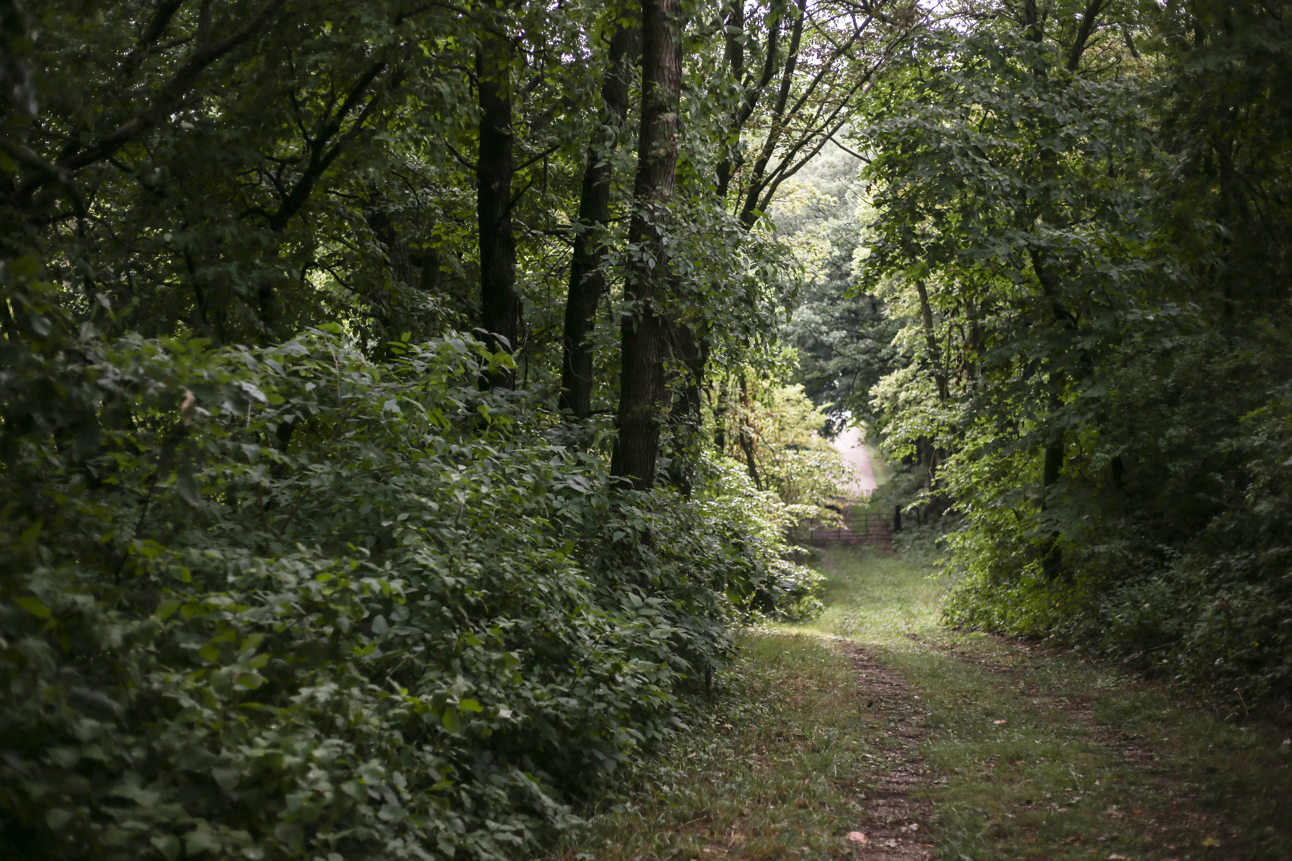 Hike Five Ridge Prairie 