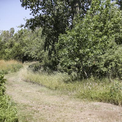 Hike the Clay County Park Nature Trail 