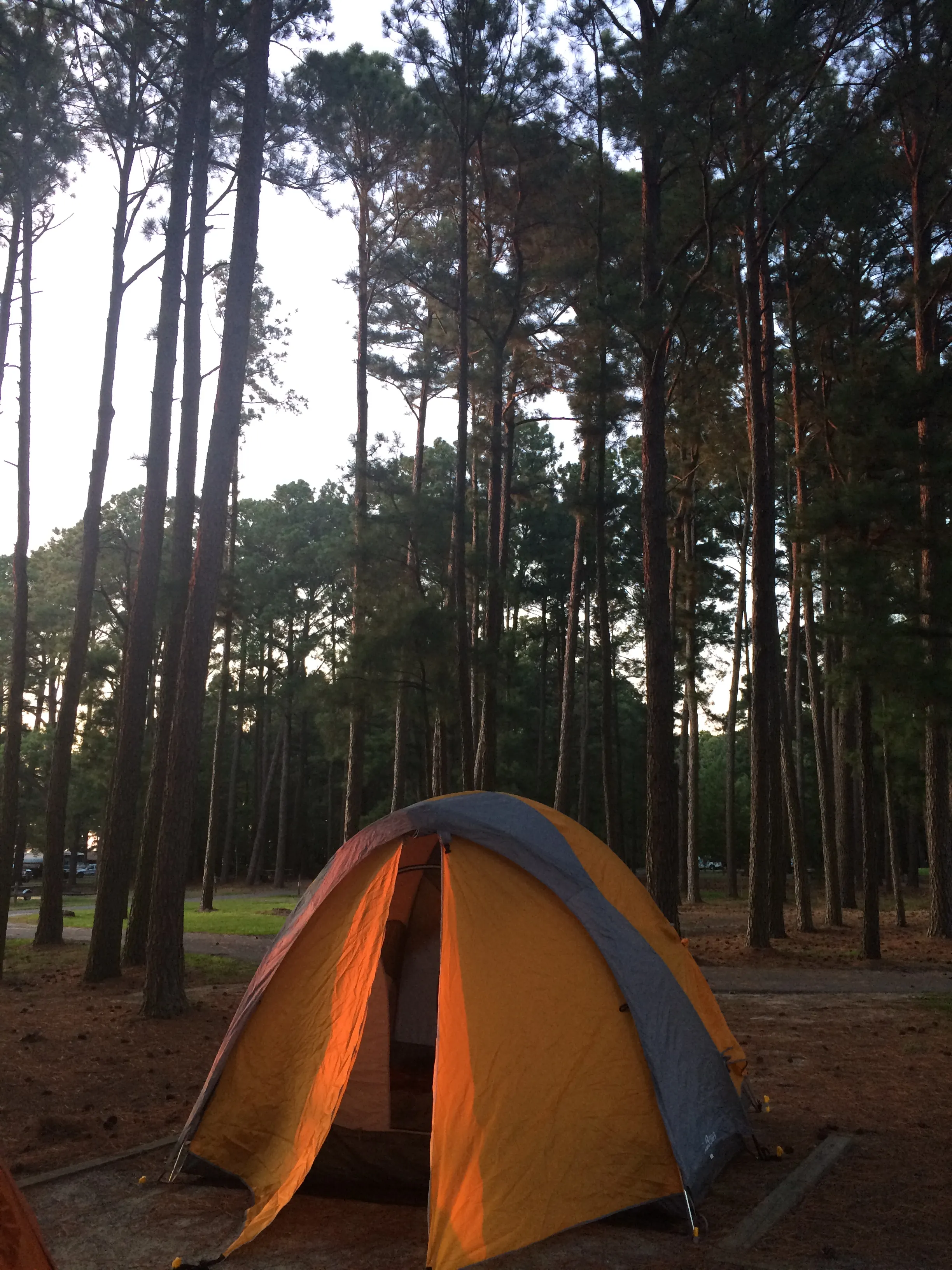 Kayak Camp at Janes Island State Park