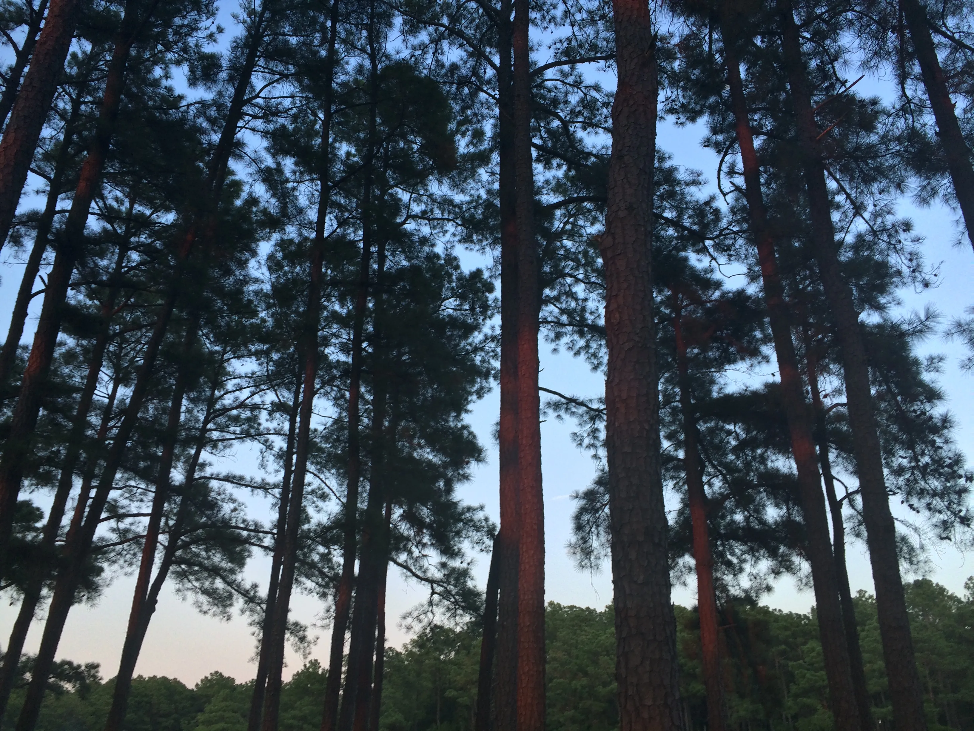 Kayak Camp at Janes Island State Park