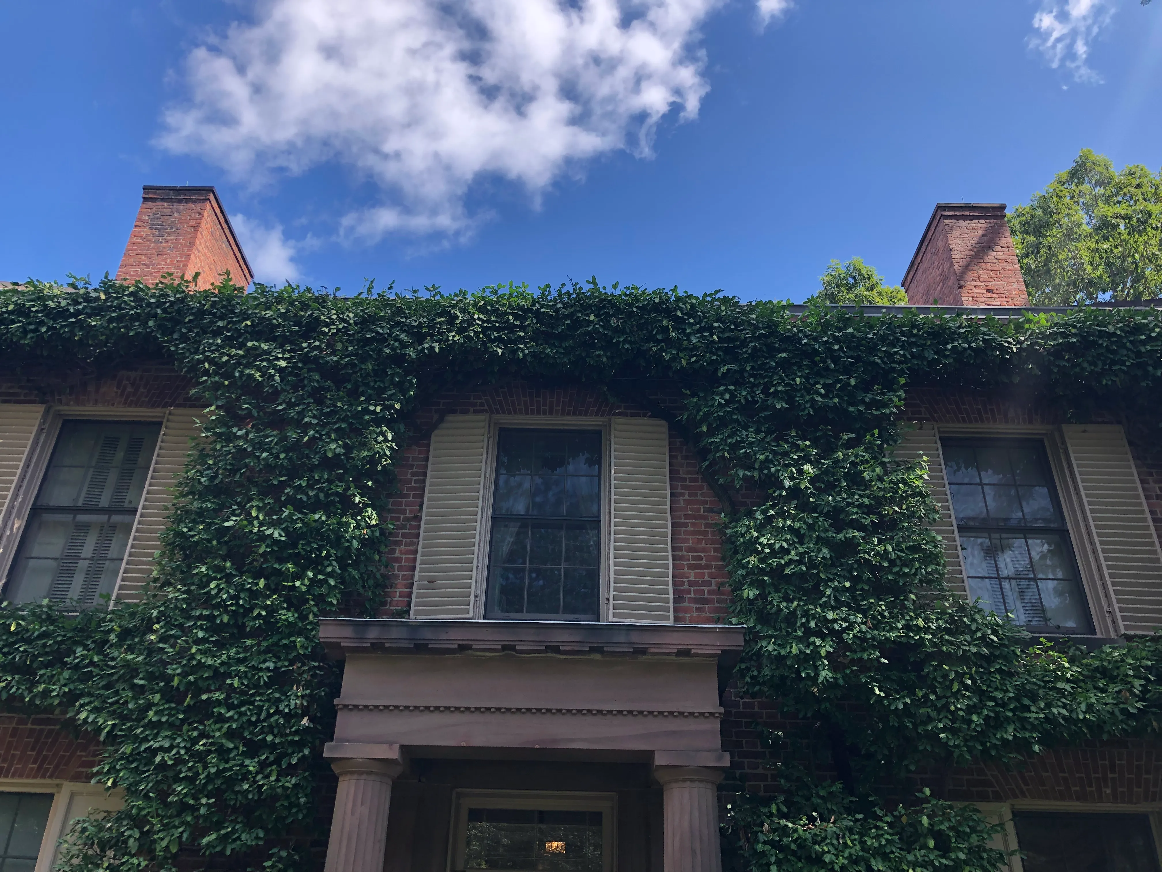 Explore Wethersfield Estate & Gardens