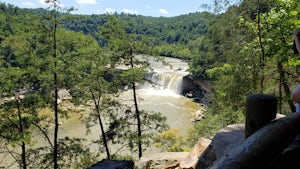 Eagle Falls, Cumberland Falls SRP