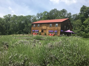 Photograph the Peace Valley Lavender Fields