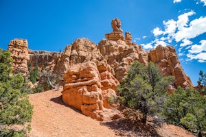 Hike the Hoodoo Loop Trail in Dixie National Forest