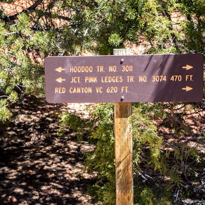 Hike the Hoodoo Loop Trail in Dixie National Forest