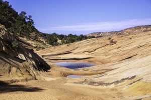 See Dinosaur Tracks at the Moccasin Mountain Dinosaur Tracksite